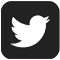 icon-twitter